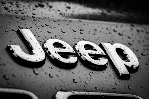 Jeep logo infographic