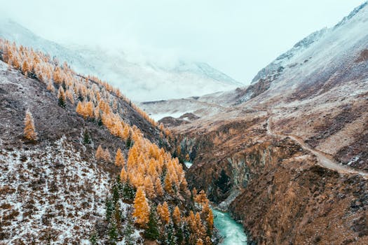 Off-roading trail with scenic views