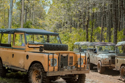 classic military jeep on the trail