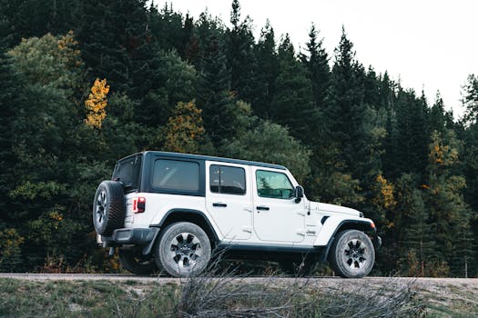 Jeep Wrangler in a scenic landscape